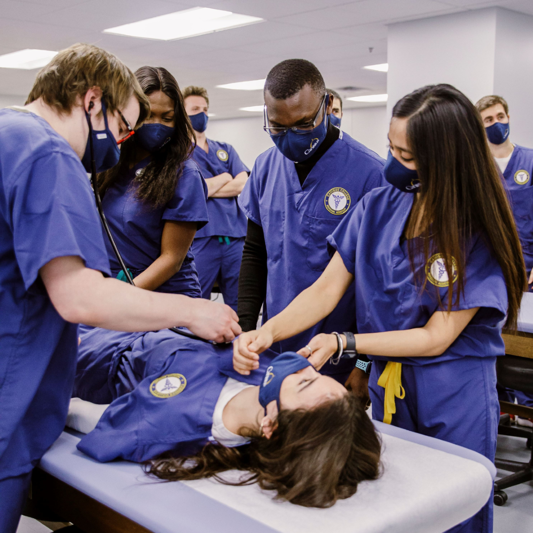 • Build your own AI-powered chatbot and create simple interactive games