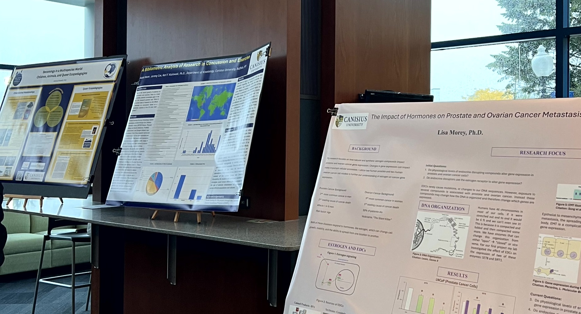 Posterboard Presentations from Celebration of Faculty Scholarship