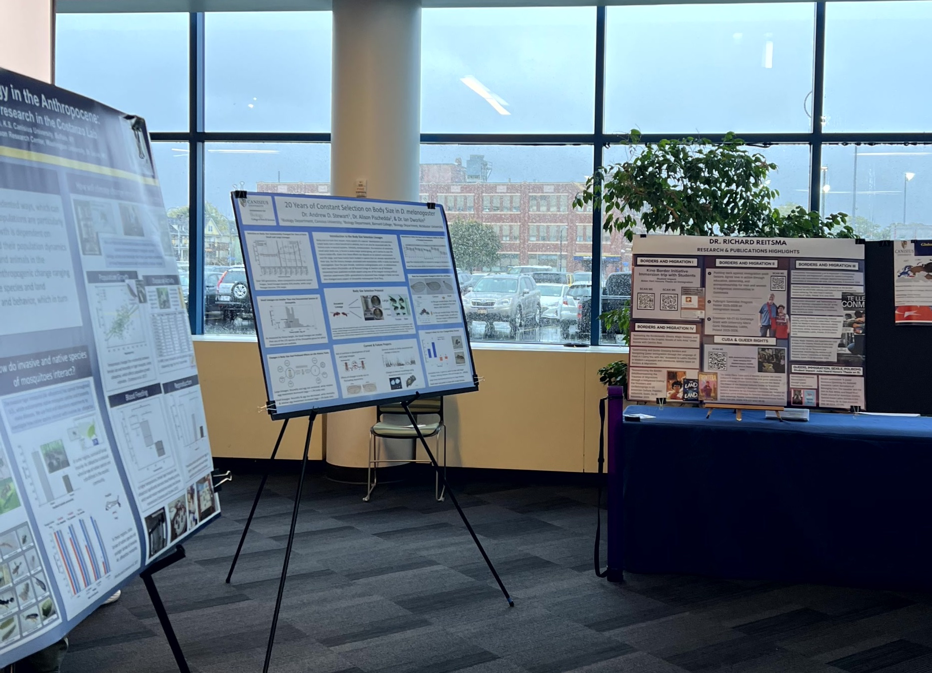 Posterboard Presentation at Celebration of Faculty Scholarship