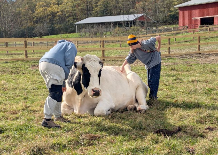 Photo of students at a farm sanctuary