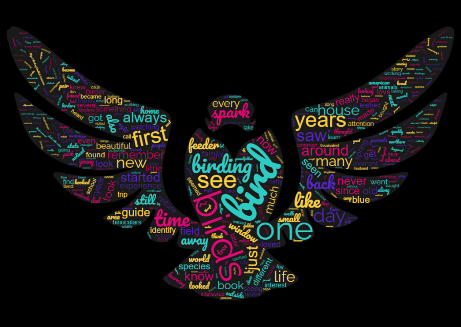 Logo for The Spark Bird Project 