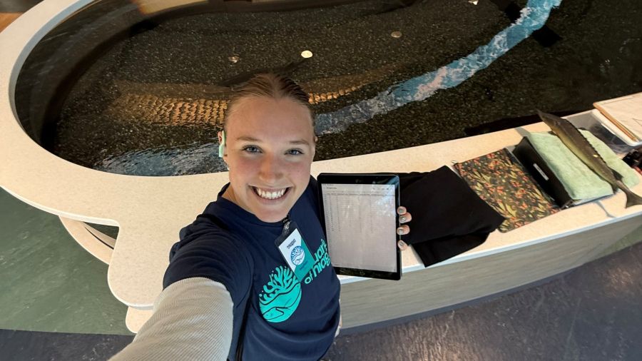 Peyton Koukides at the Aquarium of Niagara’s Lake Sturgeon touch pool