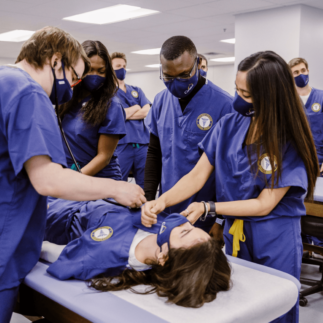 • Build your own AI-powered chatbot and create simple interactive games