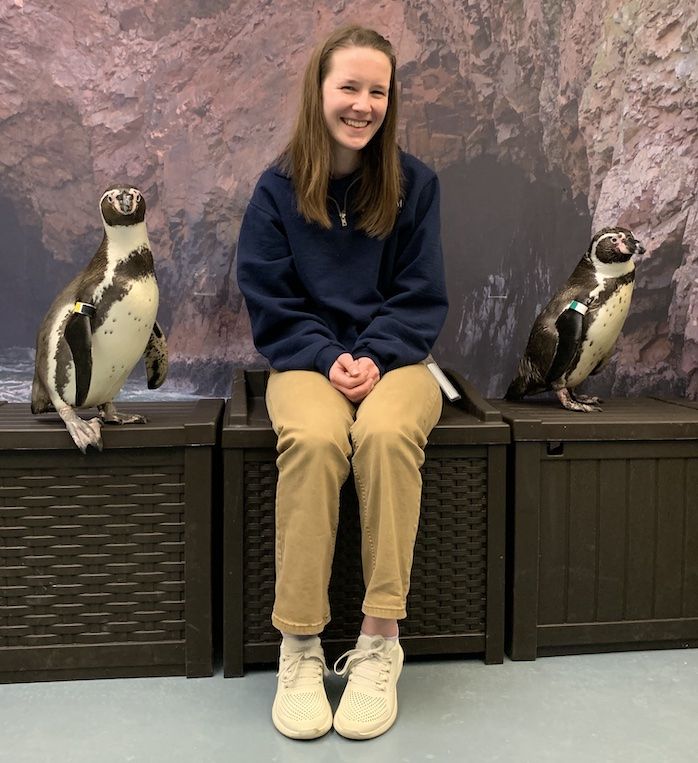 A student with penguins at the aquarium