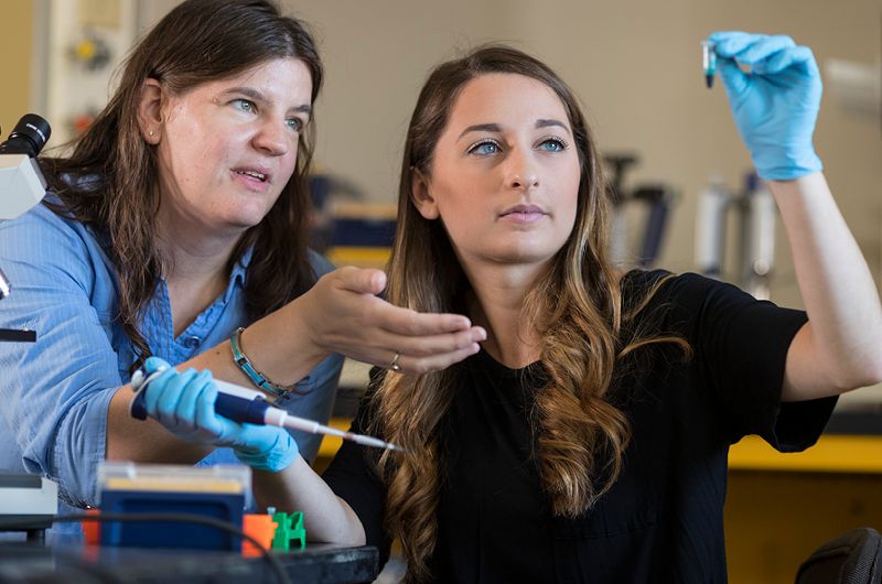 transfer programs canisius