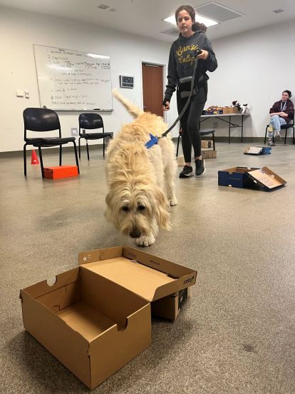 Student with dog