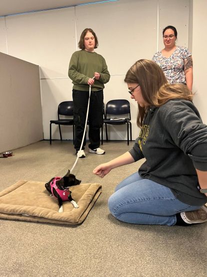 Students training dogs