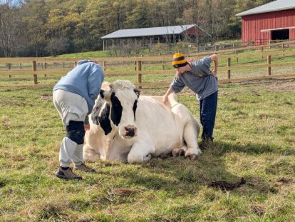 Photo of students at a farm sanctuary